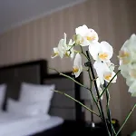 Kraemer Hotel 3*